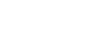 Betzerk Casino